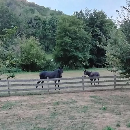 Villa Le Rucan Maison Atypique