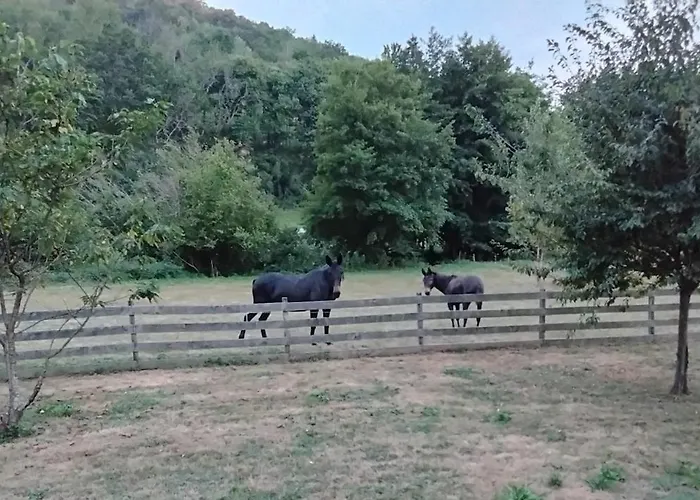 Villa Le Rucan Maison Atypique